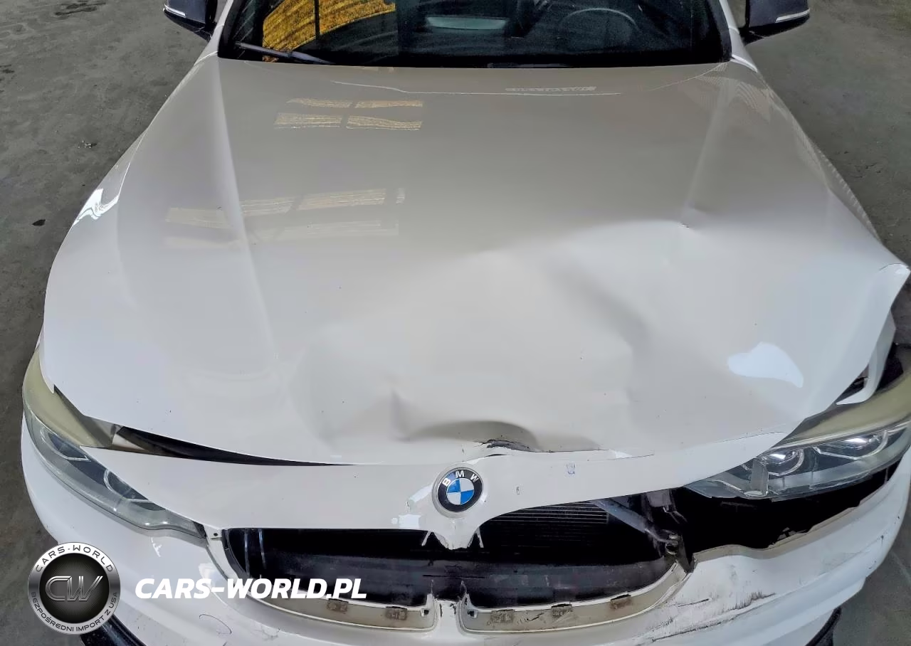 2015 BMW 435 I VIN:WBA3R1C54FK193277 - 11