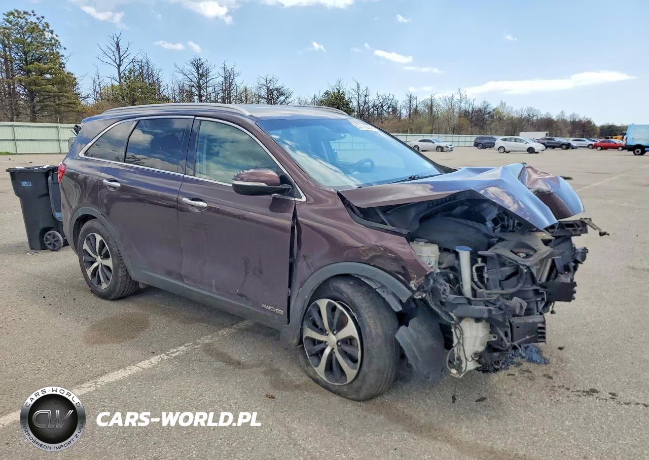 2016 Kia Sorento Ex VIN:5XYPHDA51GG016530 - 4