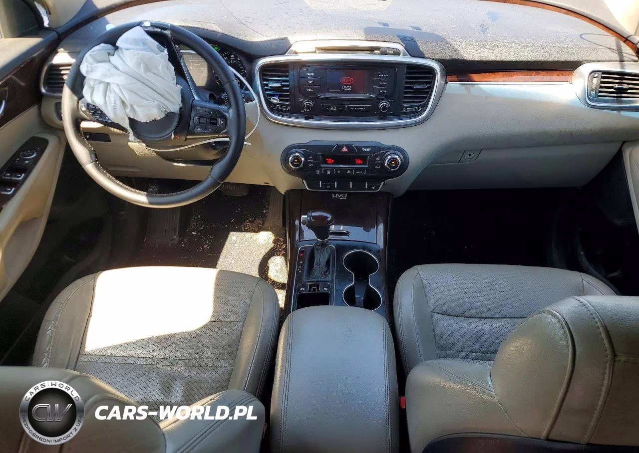 2016 Kia Sorento Ex VIN:5XYPHDA51GG016530 - 8