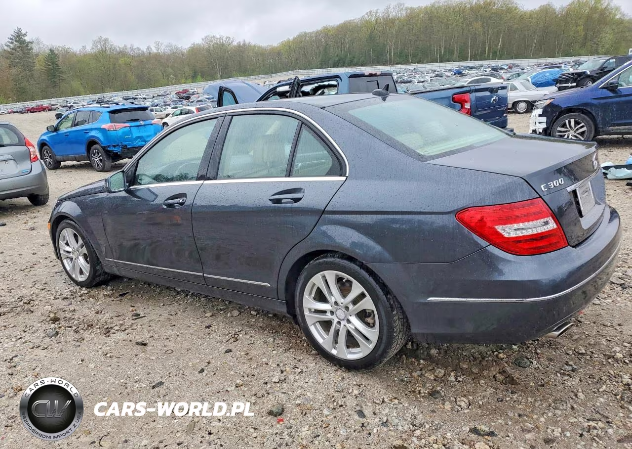 2014 Mercedes-Benz C 300 4Matic VIN:WDDGF8AB0ER307009 - 2