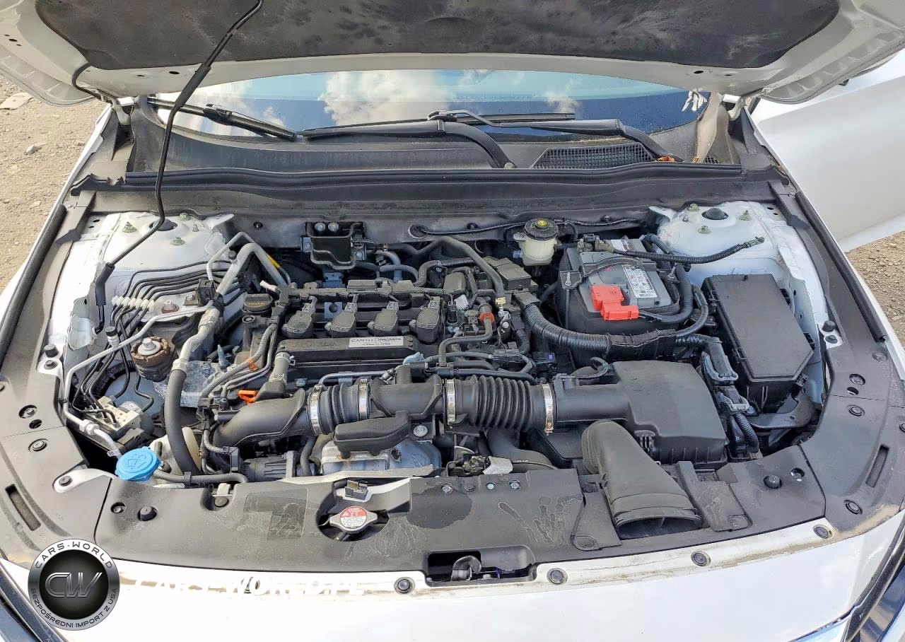 2019 Honda Accord Lx VIN:1HGCV1F11KA117525 - 11