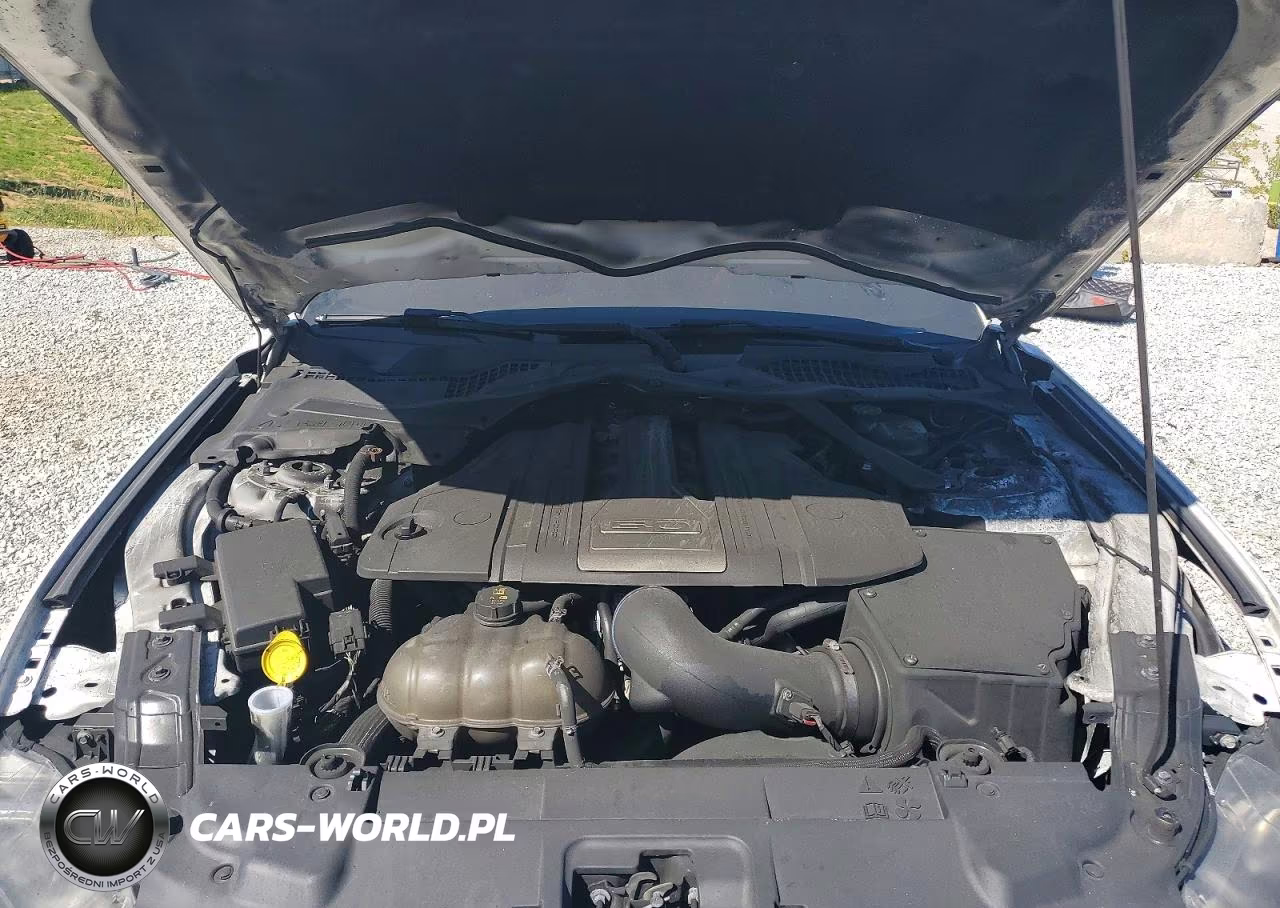 2019 Ford Mustang Gt VIN:1FATP8FF3K5184879 - 11
