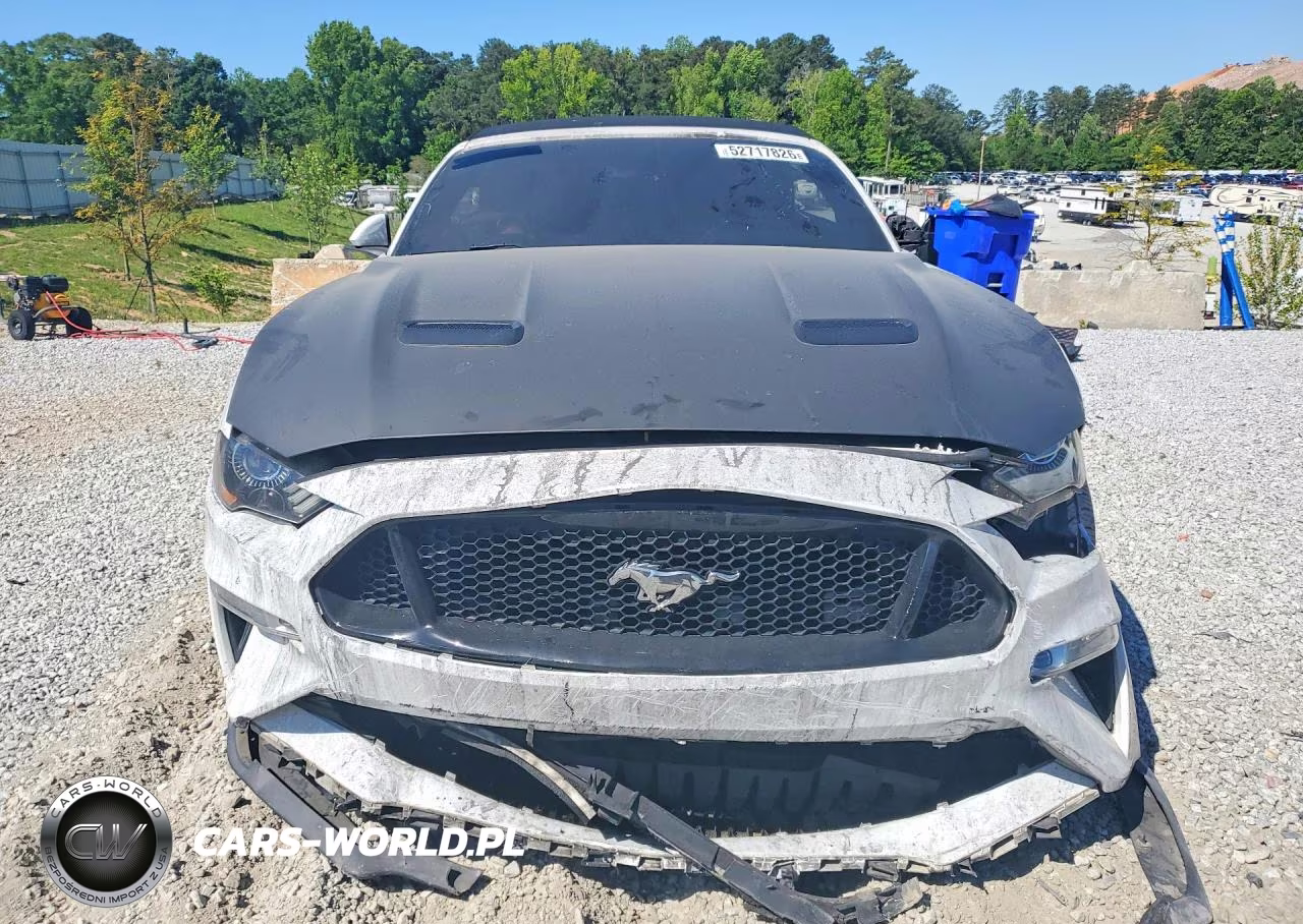 2019 Ford Mustang Gt VIN:1FATP8FF3K5184879 - 5