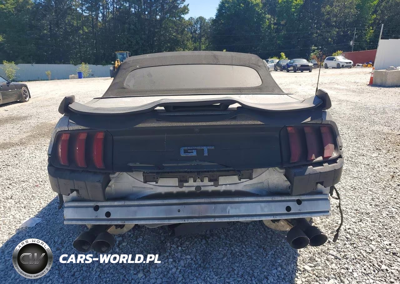2019 Ford Mustang Gt VIN:1FATP8FF3K5184879 - 6