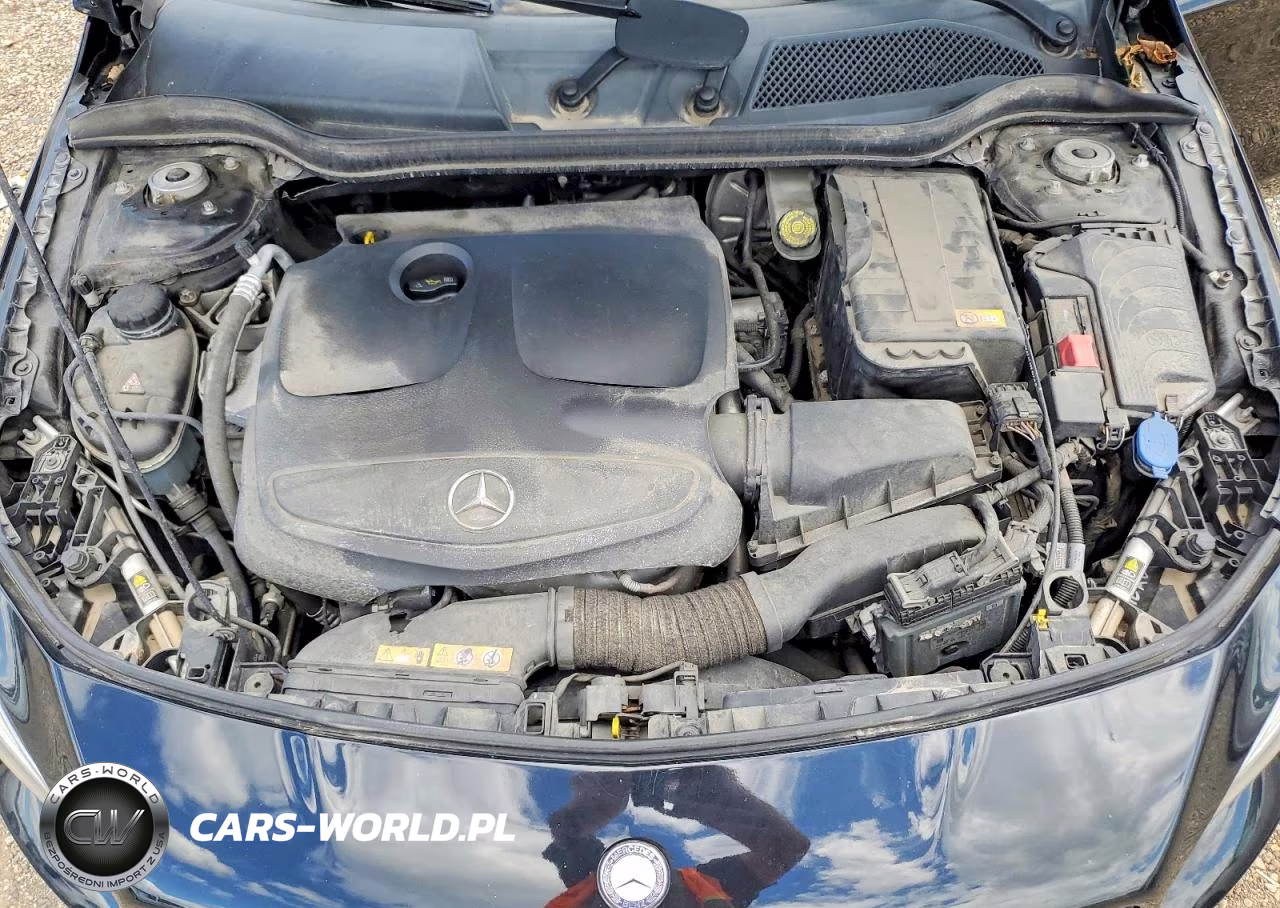 2014 Mercedes-Benz Cla 250 VIN:WDDSJ4EB7EN066004 - 11