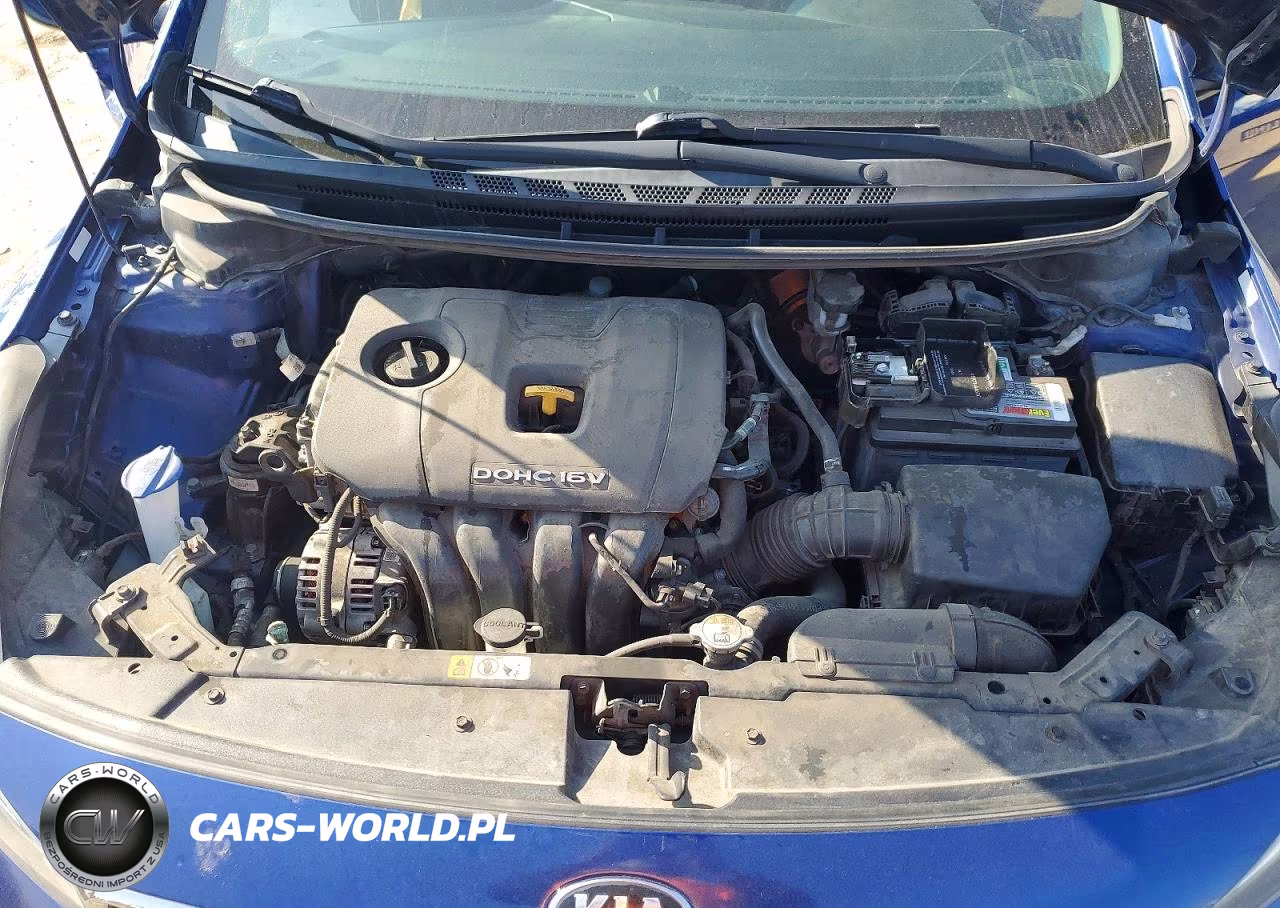 2018 Kia Forte Lx VIN:3KPFL4A79JE170418 - 12