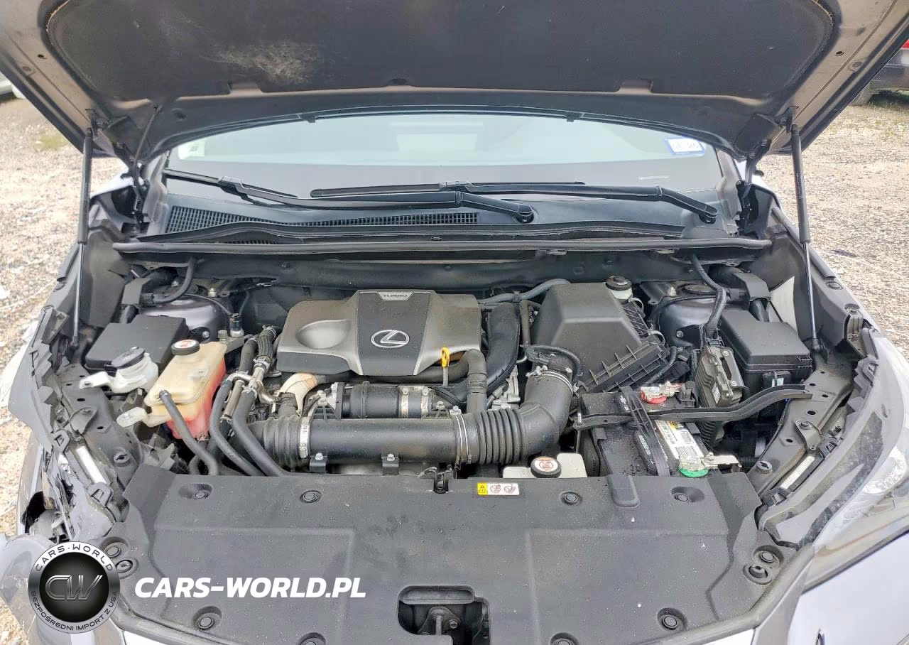 2020 Lexus Nx 300 VIN:JTJDARBZ4L2175601 - 12
