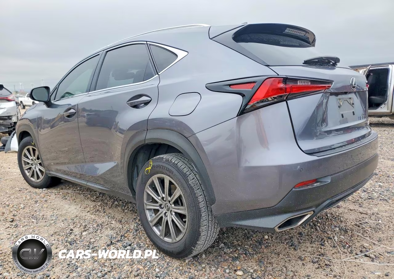 2020 Lexus Nx 300 VIN:JTJDARBZ4L2175601 - 2