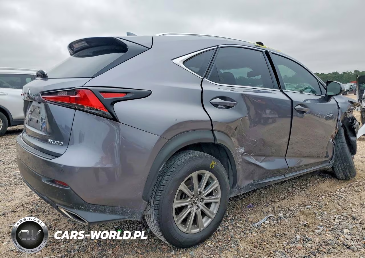 2020 Lexus Nx 300 VIN:JTJDARBZ4L2175601 - 3