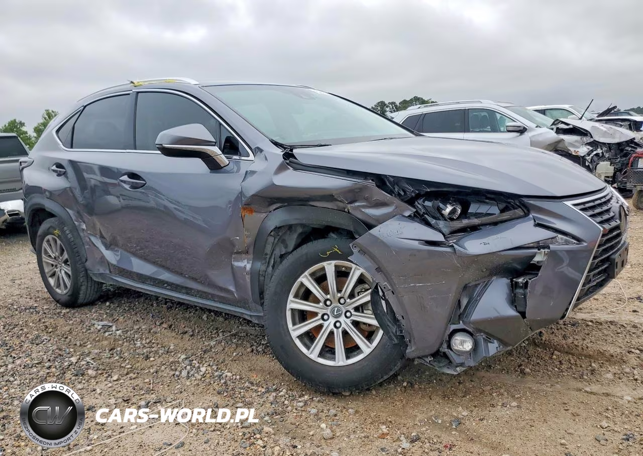 2020 Lexus Nx 300 VIN:JTJDARBZ4L2175601 - 4