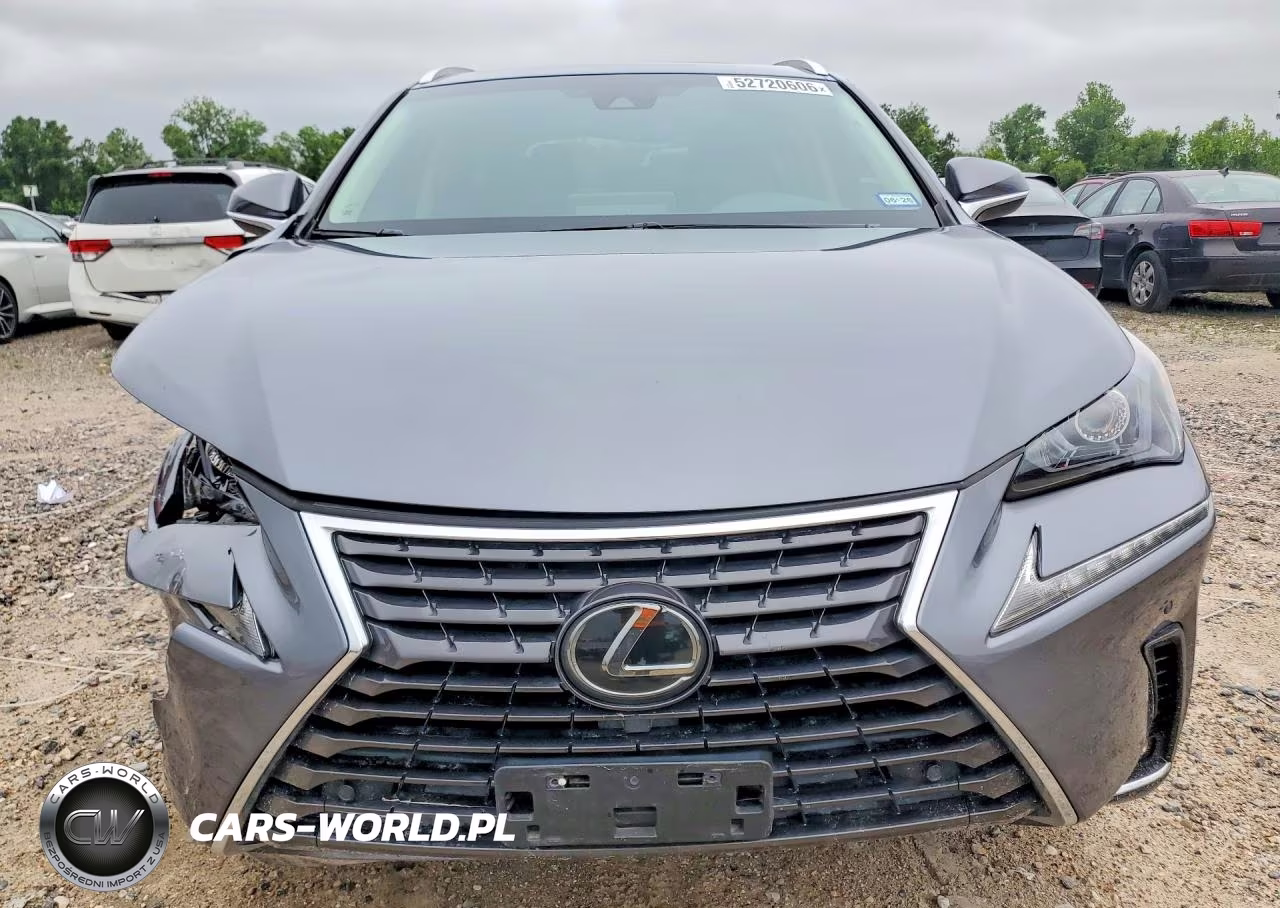2020 Lexus Nx 300 VIN:JTJDARBZ4L2175601 - 5
