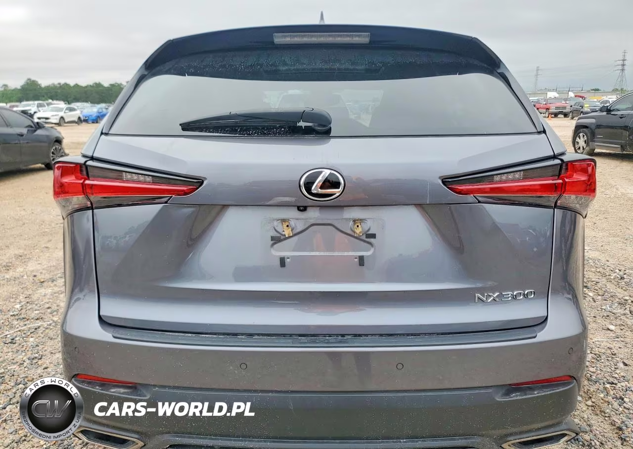 2020 Lexus Nx 300 VIN:JTJDARBZ4L2175601 - 6