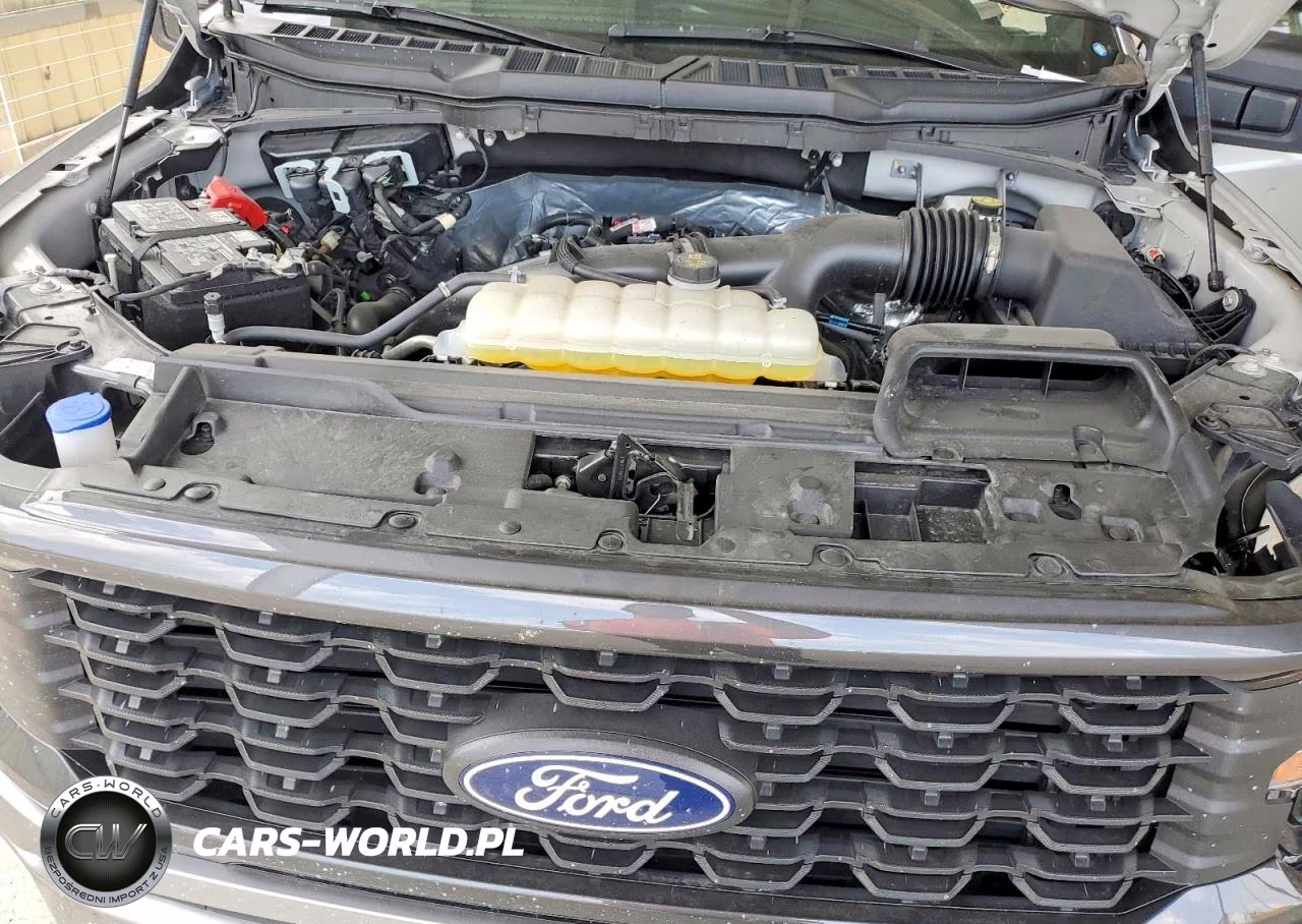2025 Ford F150 Stx VIN:1FTEW2LP9SKE10442 - 11