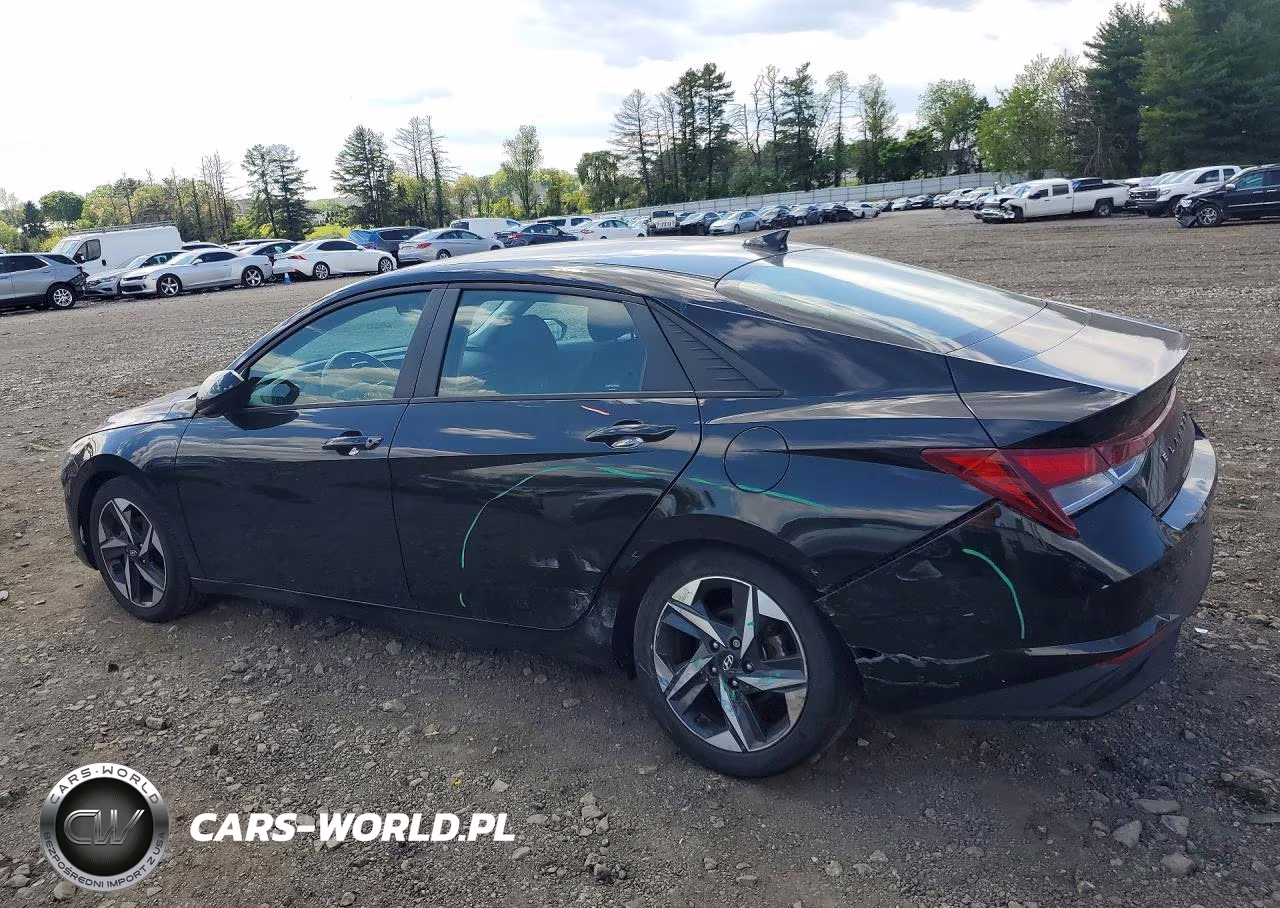 2023 Hyundai Elantra Sel VIN:5NPLS4AG6PH113149 - 2