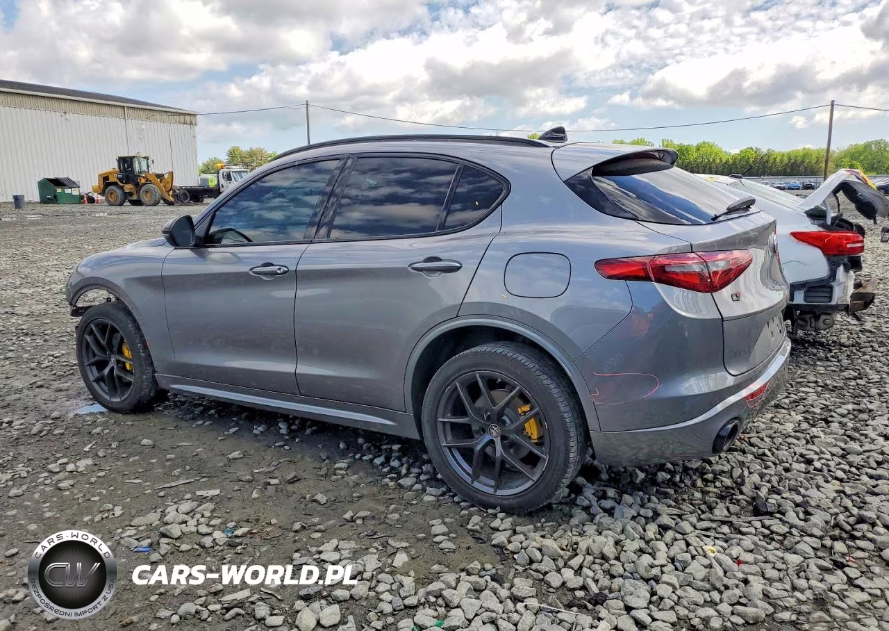 2020 Alfa Romeo Stelvio VIN:ZASPAKANXL7C99176 - 2