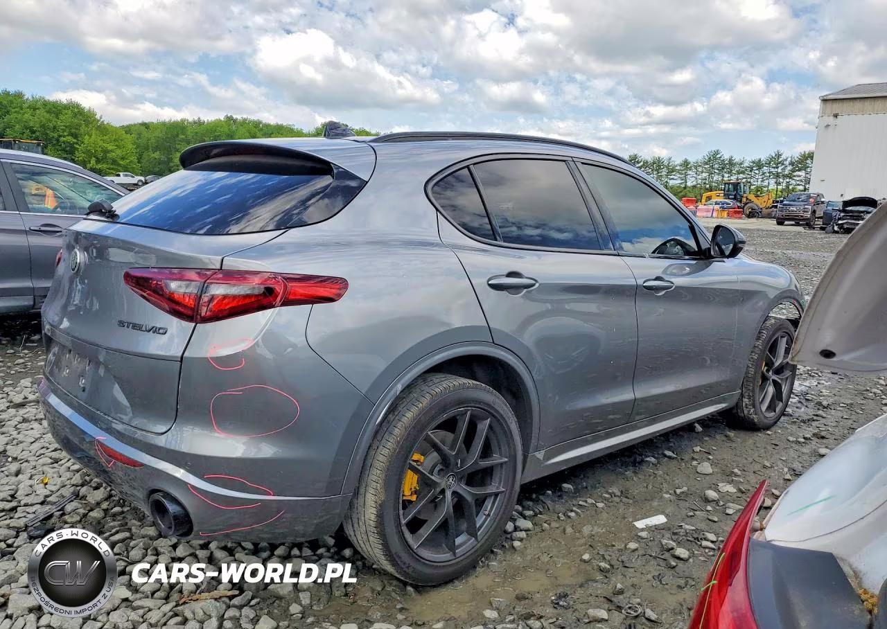 2020 Alfa Romeo Stelvio VIN:ZASPAKANXL7C99176 - 3