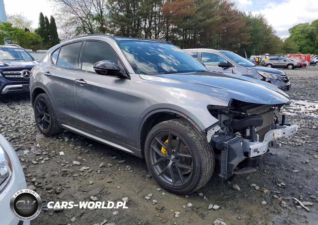 2020 Alfa Romeo Stelvio VIN:ZASPAKANXL7C99176 - 4