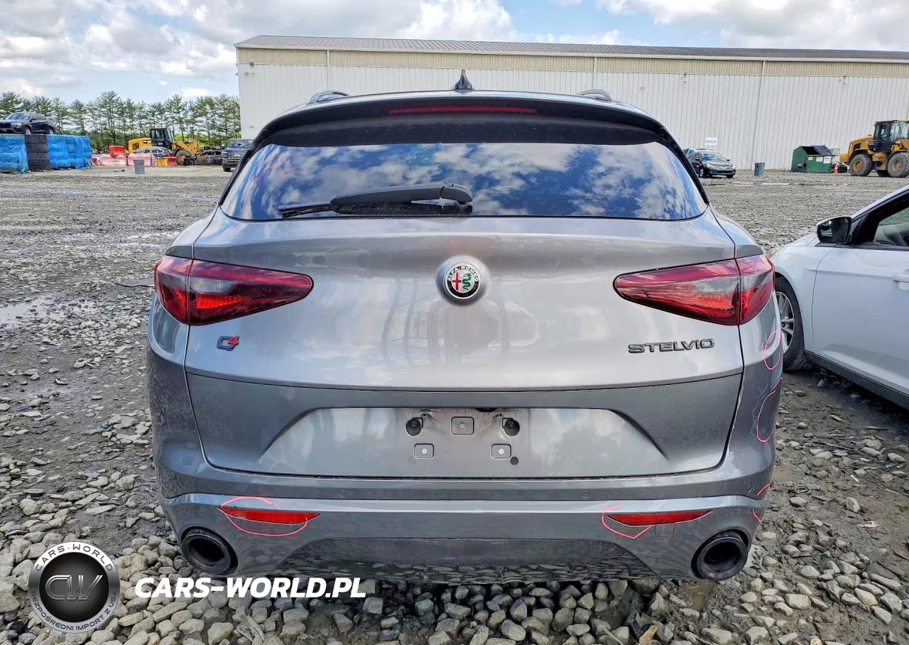 2020 Alfa Romeo Stelvio VIN:ZASPAKANXL7C99176 - 6
