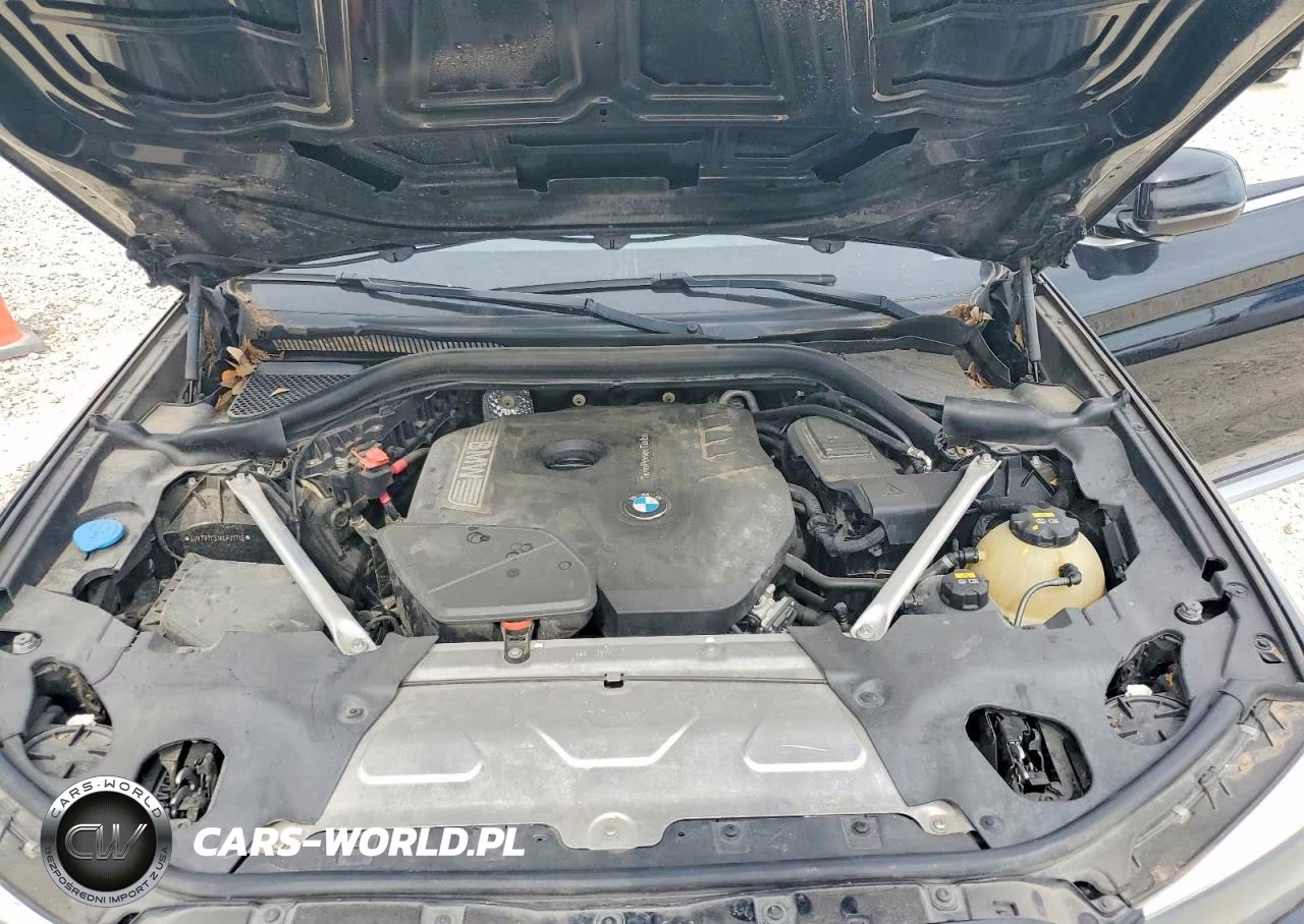 2019 BMW X3 Sdrive30I VIN:5UXTR7C51KLF31715 - 12