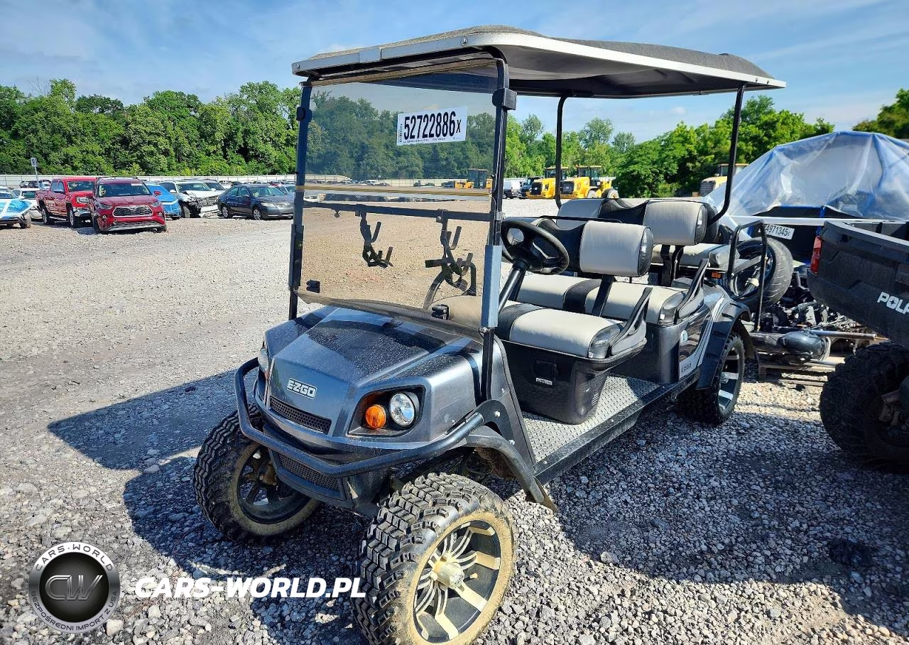 2019 Ezgo Golf Cart VIN:3389889 - 2