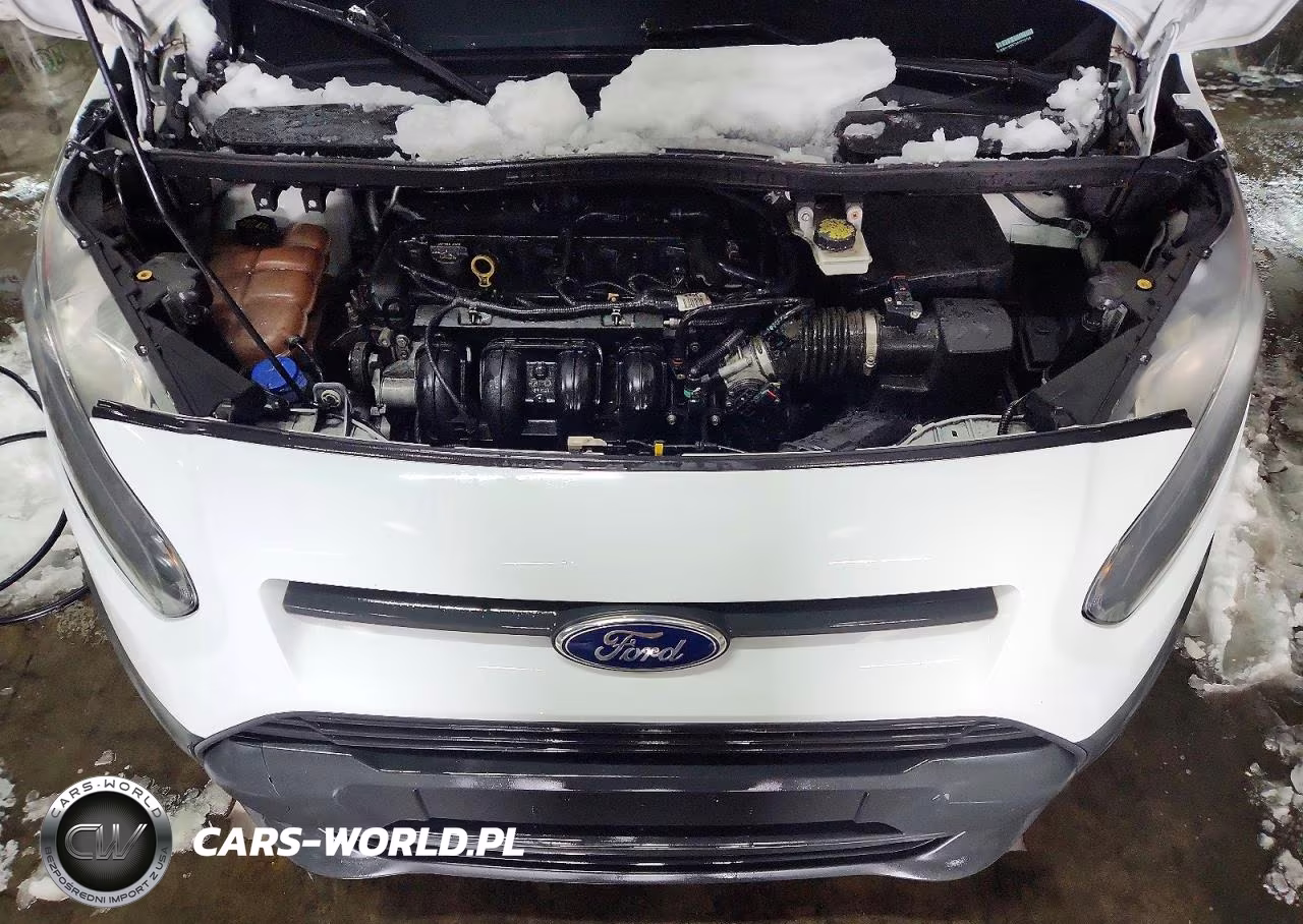 2015 Ford Transit Connect Xl VIN:NM0LS7E79F1220744 - 12