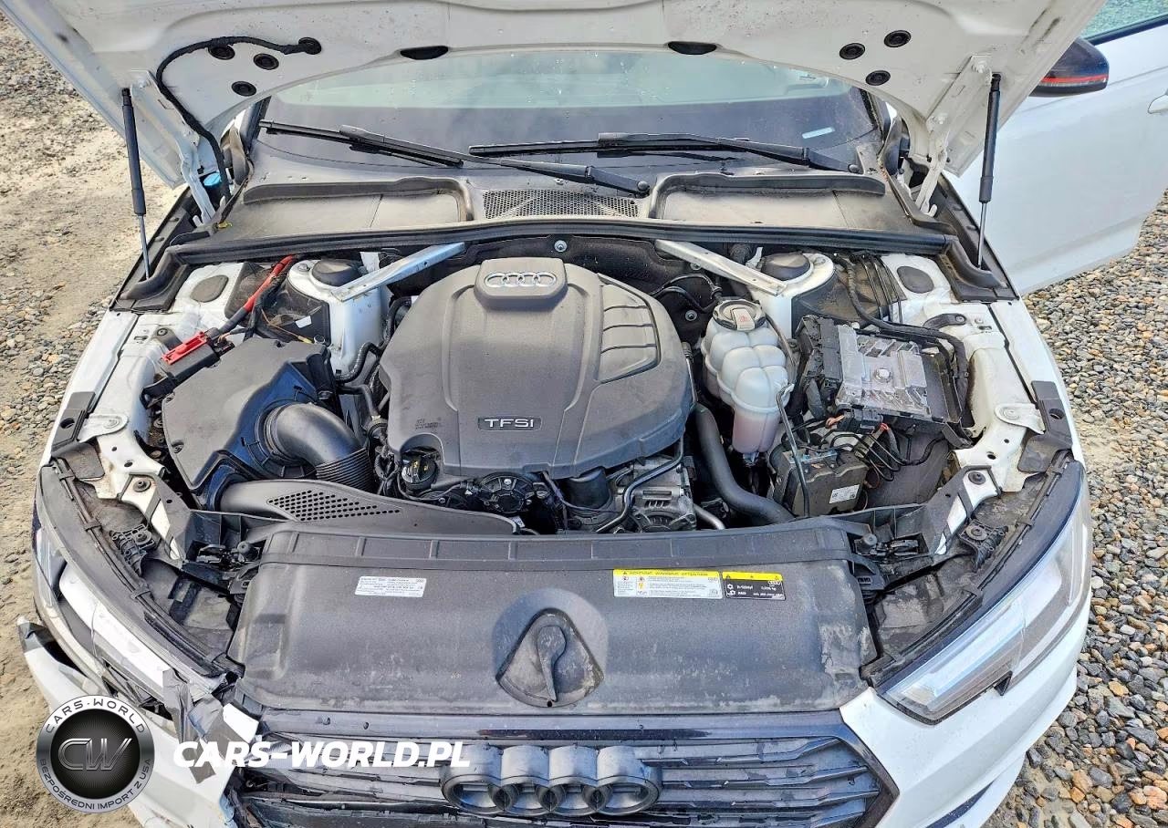 2019 Audi A4 Premium Plus VIN:WAUENAF4XKA065116 - 11