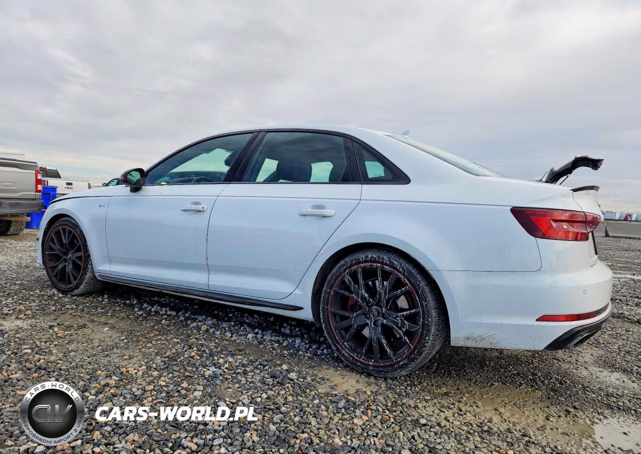 2019 Audi A4 Premium Plus VIN:WAUENAF4XKA065116 - 2