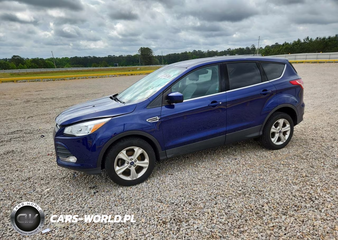 2013 Ford Escape Se