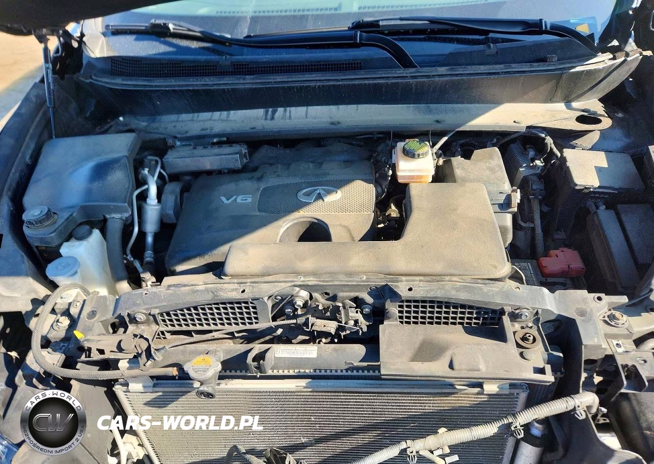 2019 Infiniti Qx60 Luxe VIN:5N1DL0MM3KC557939 - 12