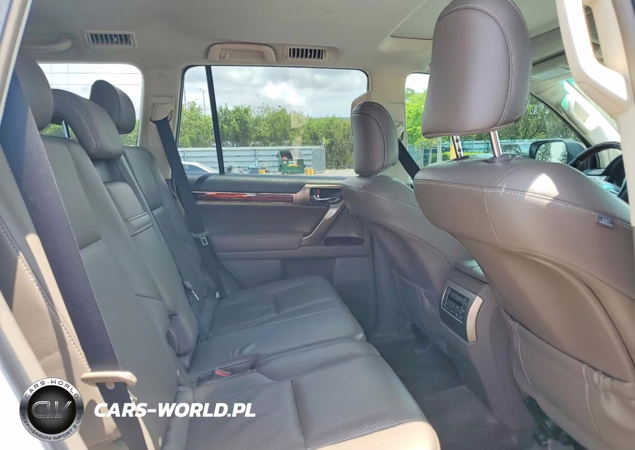 2010 Lexus Gx 460 Premium VIN:JTJJM7FX7A5014033 - 10