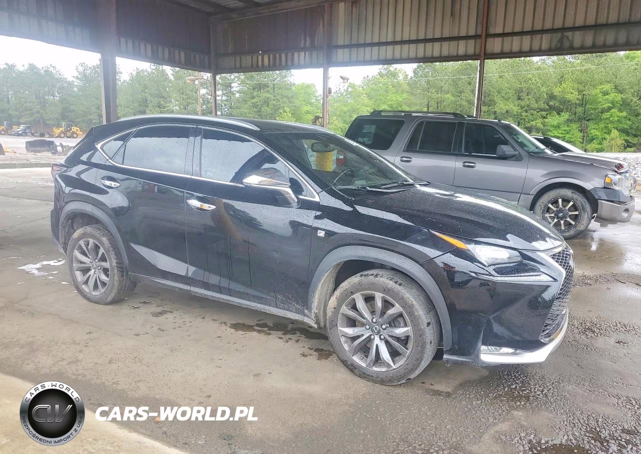2017 Lexus Nx 200T F Sport VIN:JTJYARBZ4H2055273 - 4