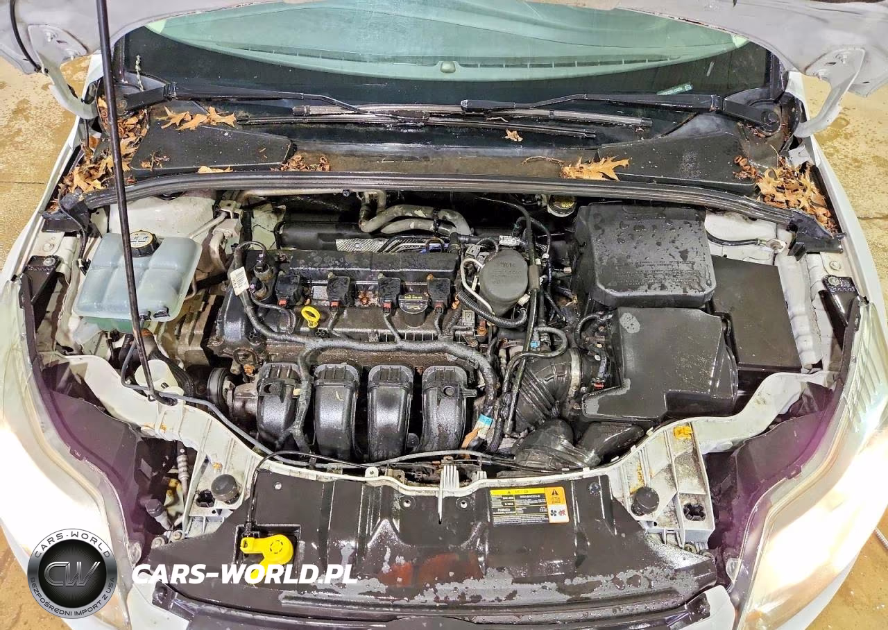 2014 Ford Focus Se VIN:1FADP3F22EL124256 - 11