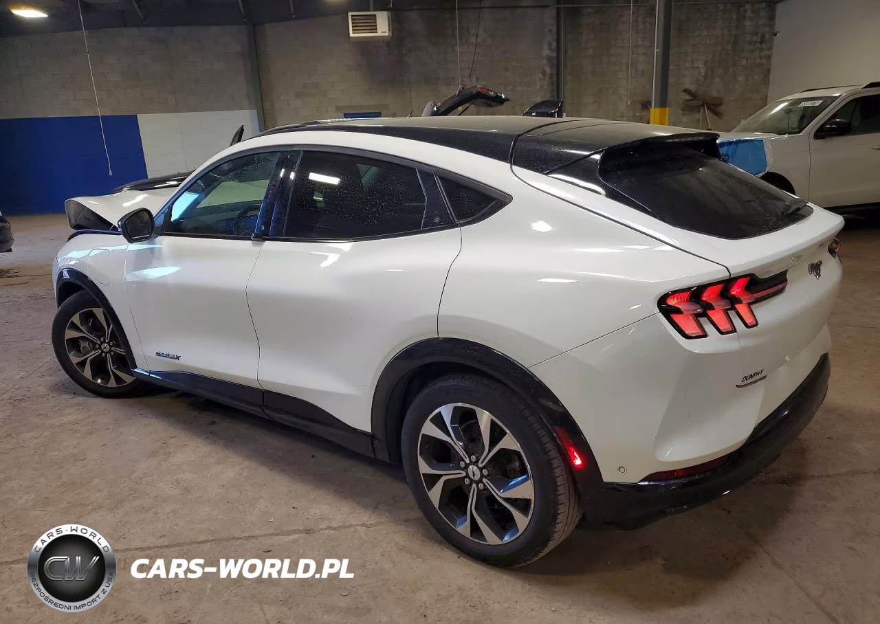 2021 Ford Mustang Mach-E Premium VIN:3FMTK3SU2MMA03537 - 2