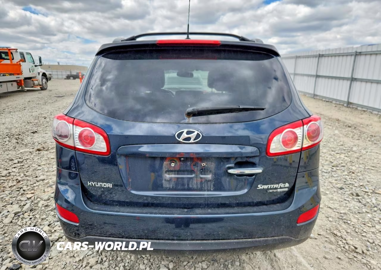 2010 Hyundai Santa Fe Limited VIN:5NMSKDAG2AH353735 - 6