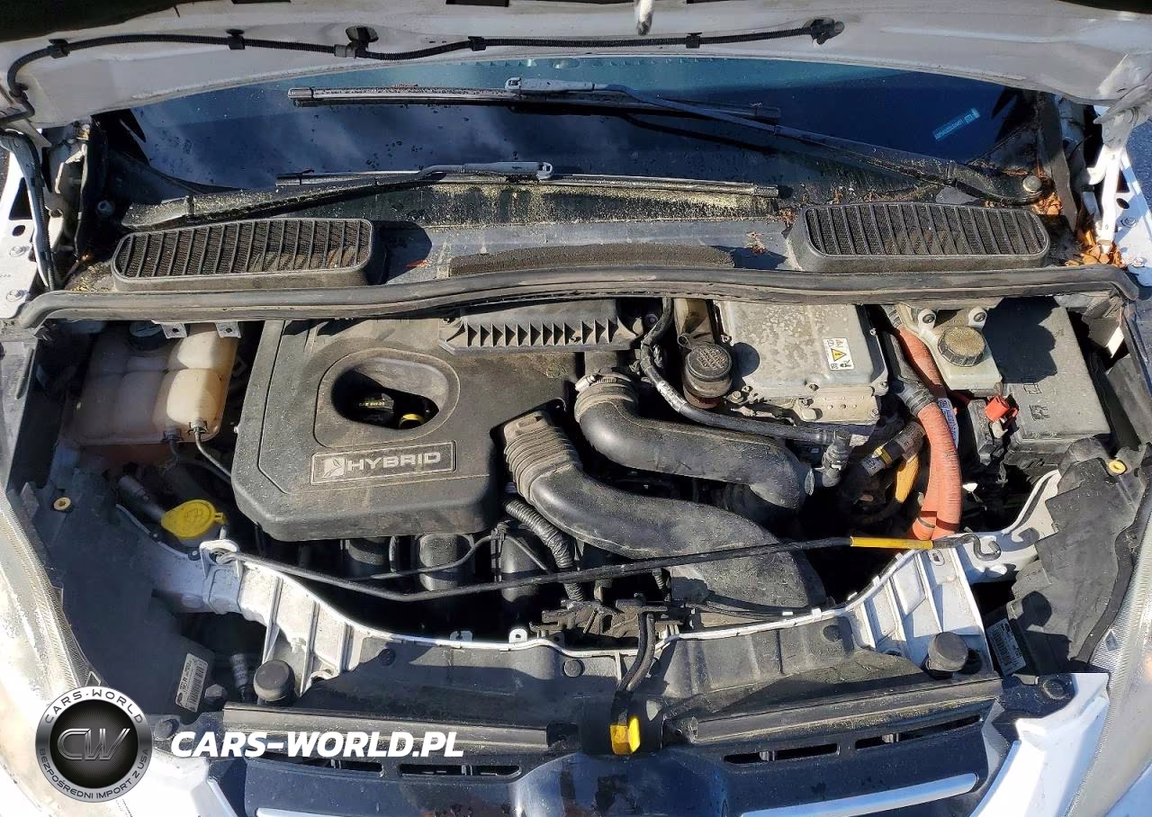 2013 Ford C-Max Se VIN:1FADP5AU2DL524451 - 11