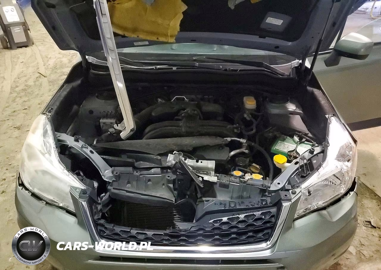 2014 Subaru Forester 2.5I Premium VIN:JF2SJAEC2EH549269 - 12