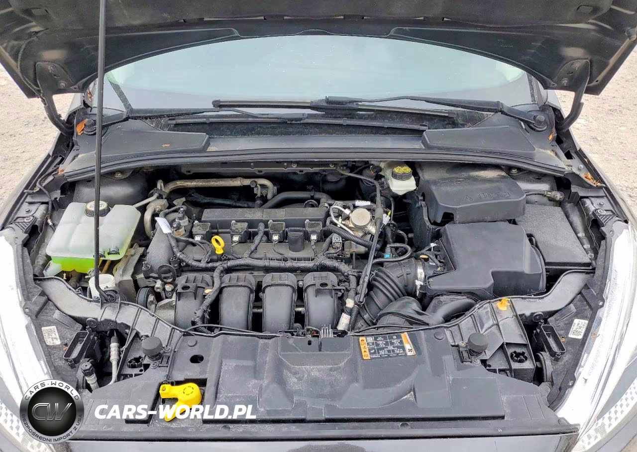 2017 Ford Focus Se VIN:1FADP3F28HL297414 - 12