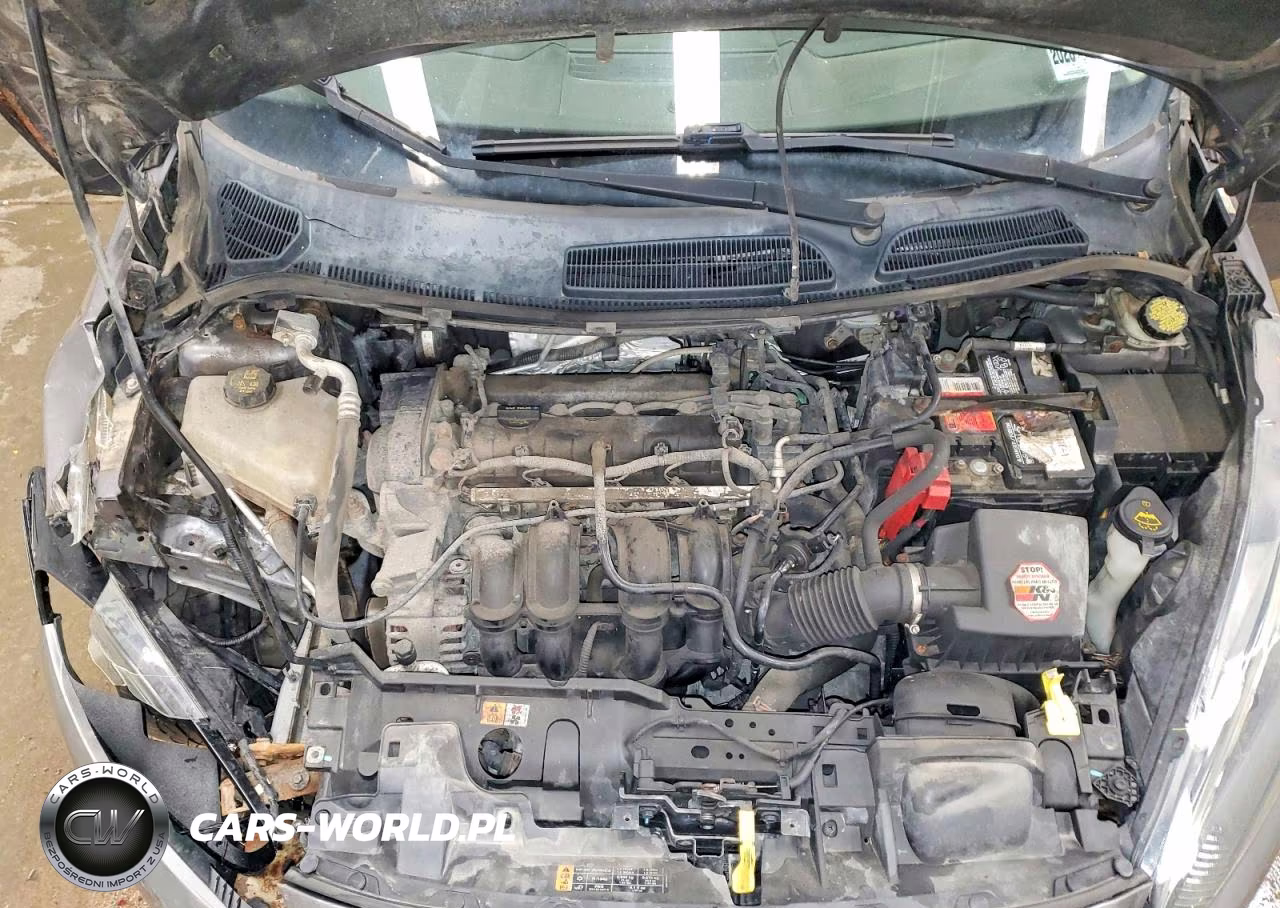 2014 Ford Fiesta Se VIN:3FADP4EJ6EM165809 - 11