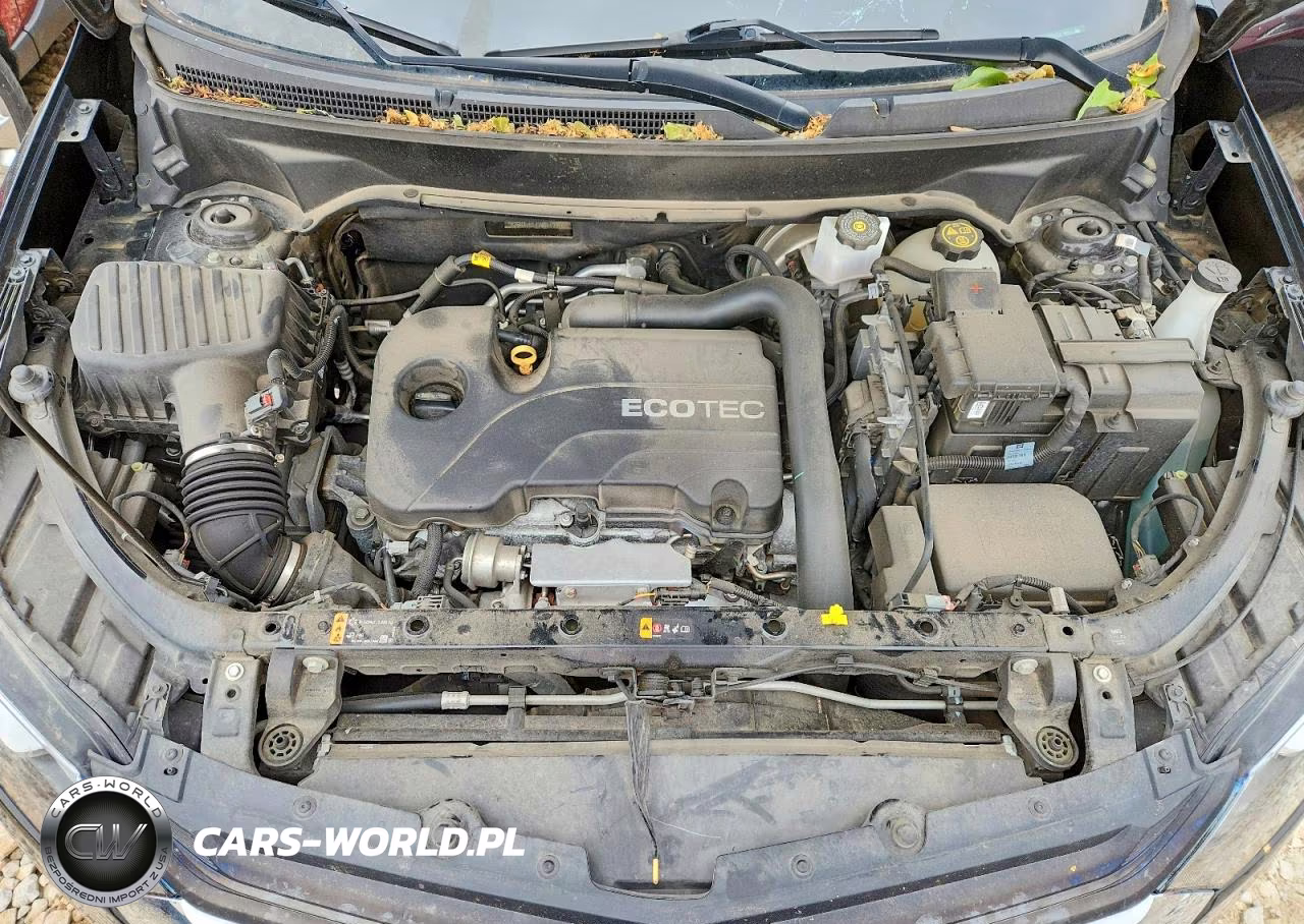 2021 Chevrolet Equinox Lt VIN:2GNAXKEV1M6113816 - 12