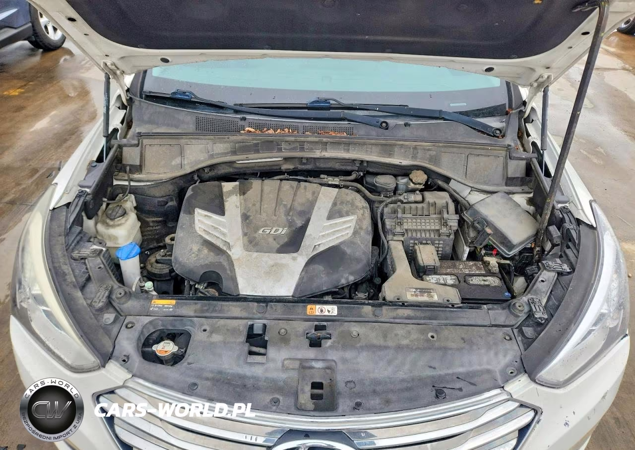 2016 Hyundai Santa Fe Se VIN:KM8SR4HF1GU136618 - 12