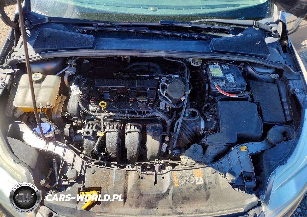 2014 Ford Focus Se VIN:1FADP3F25EL313340 - 11