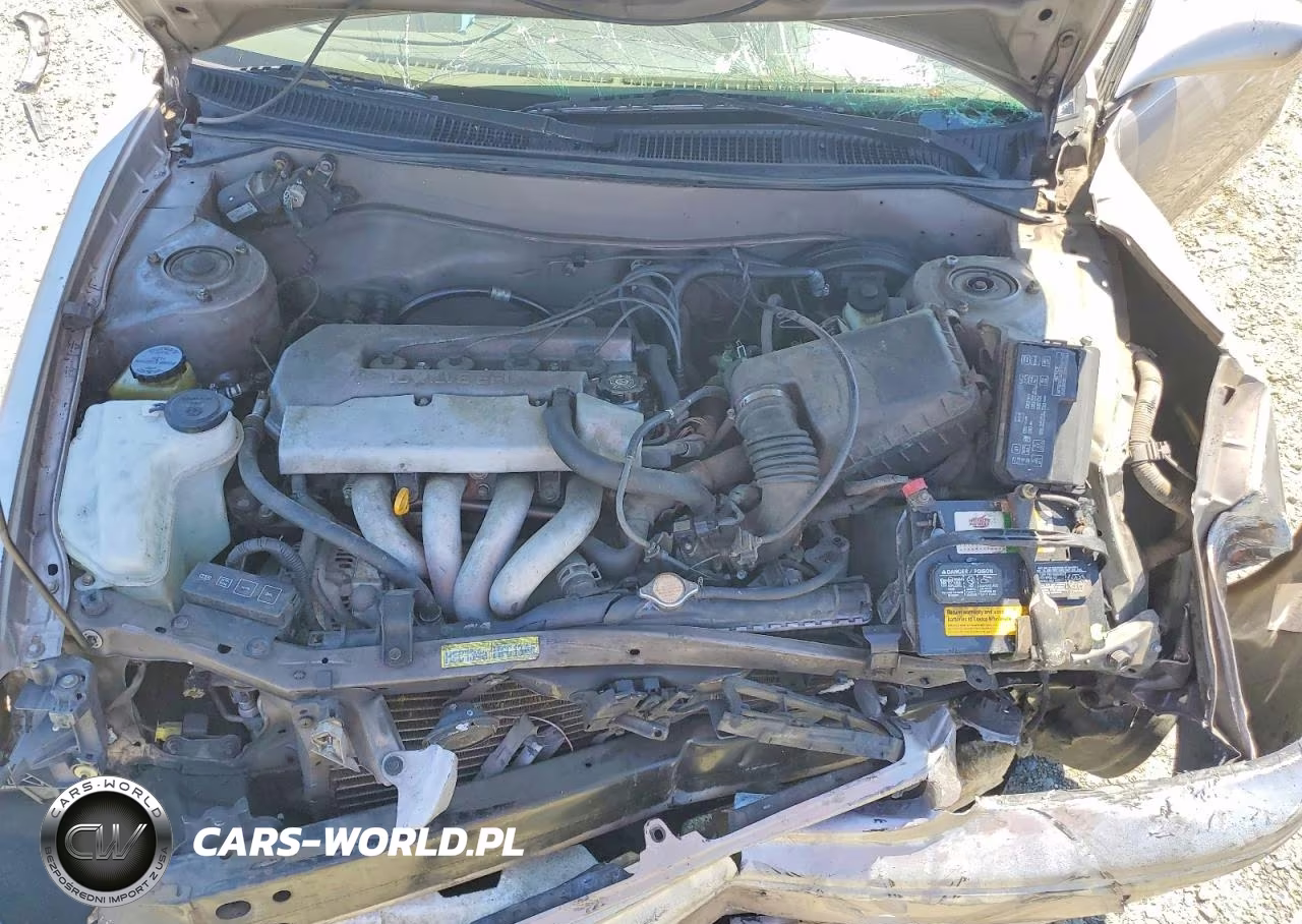 1999 Toyota Corolla Ve VIN:1NXBR12E8XZ140048 - 11