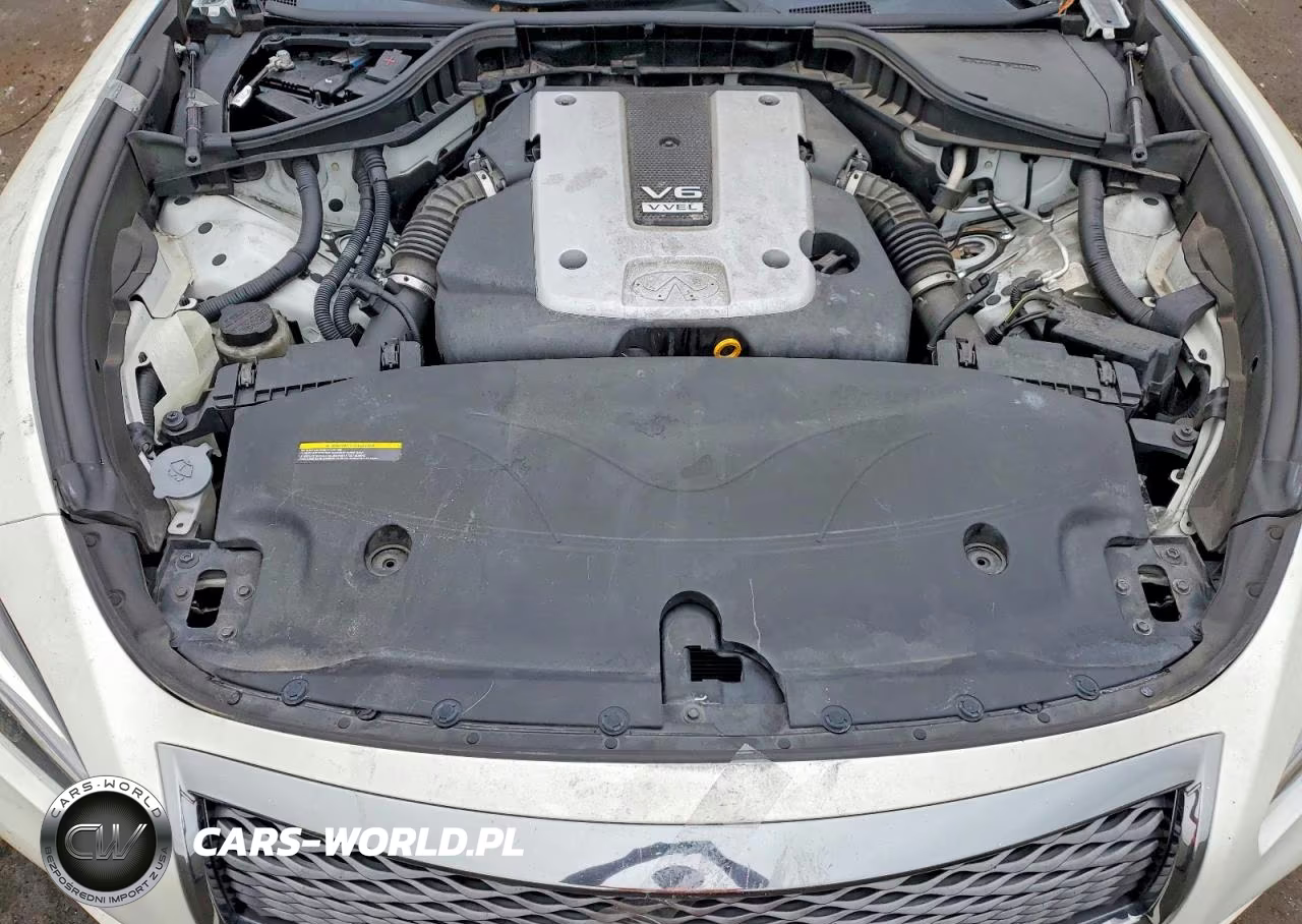 2019 Infiniti Q70 3.7 Luxe VIN:JN1BY1AP7KM505325 - 11