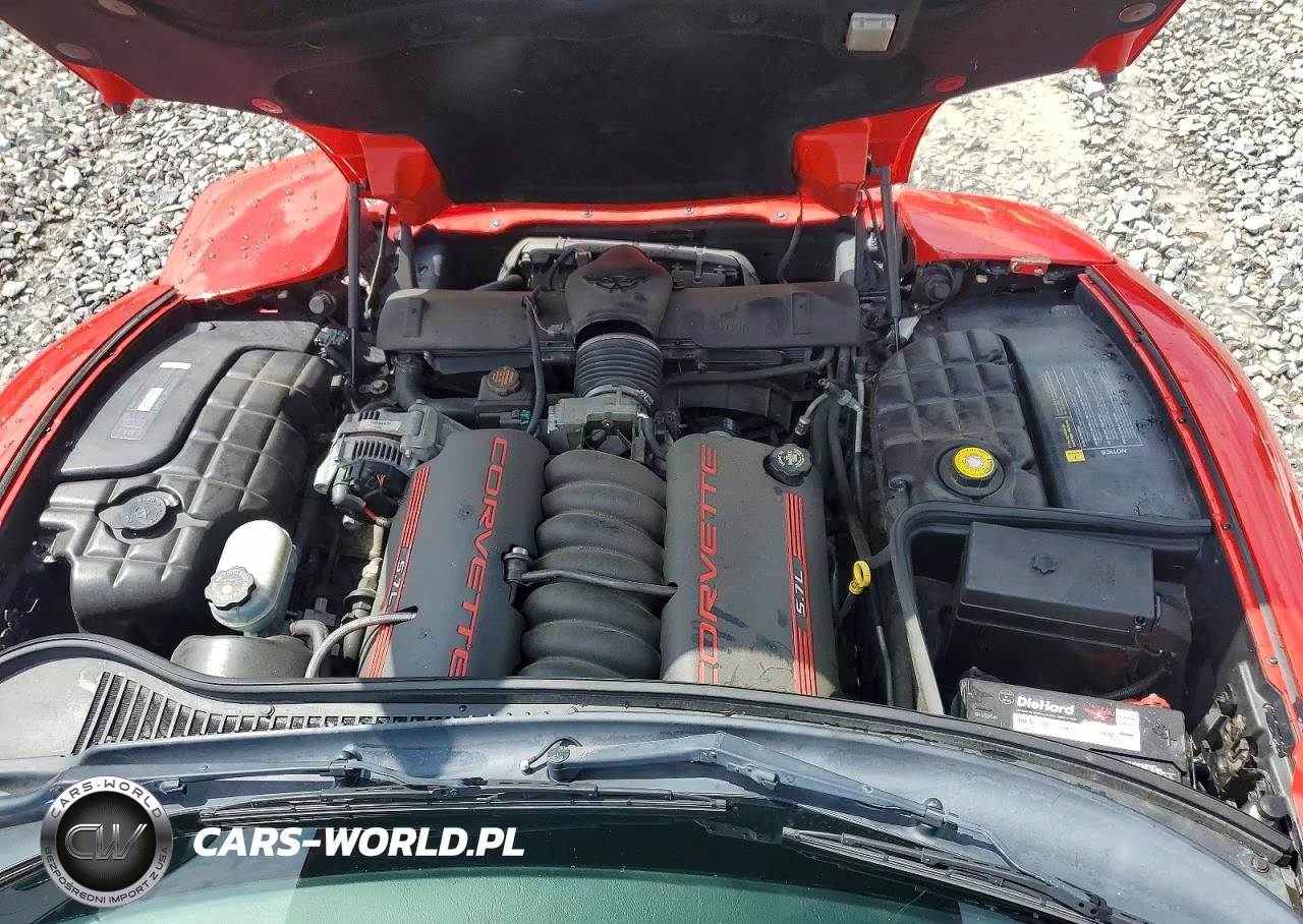 1999 Chevrolet Corvette VIN:1G1YY22GXX5133078 - 11