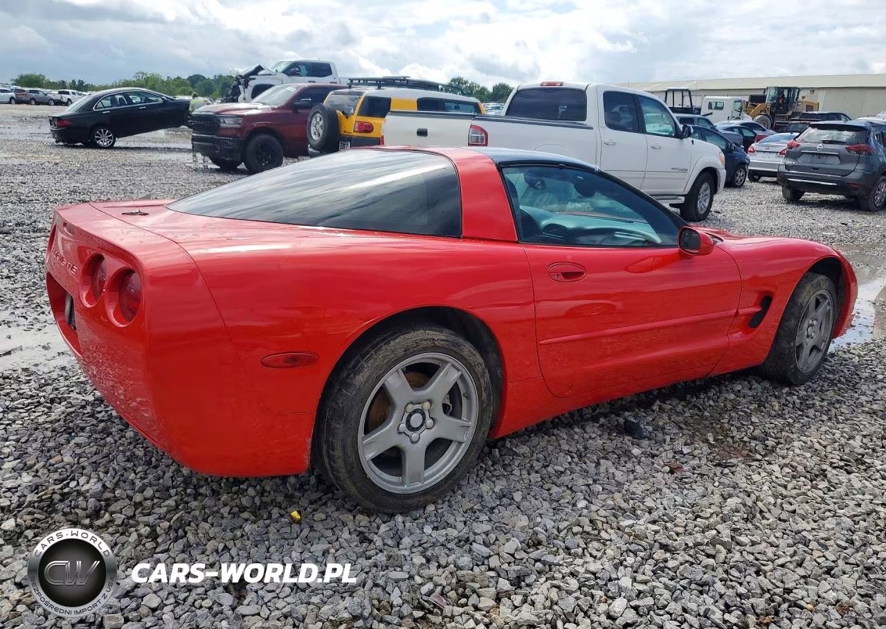 1999 Chevrolet Corvette VIN:1G1YY22GXX5133078 - 3