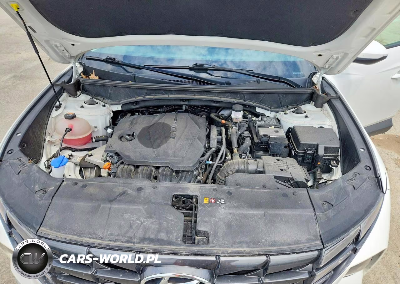 2024 Hyundai Tucson Sel VIN:5NMJBCDE3RH329147 - 12