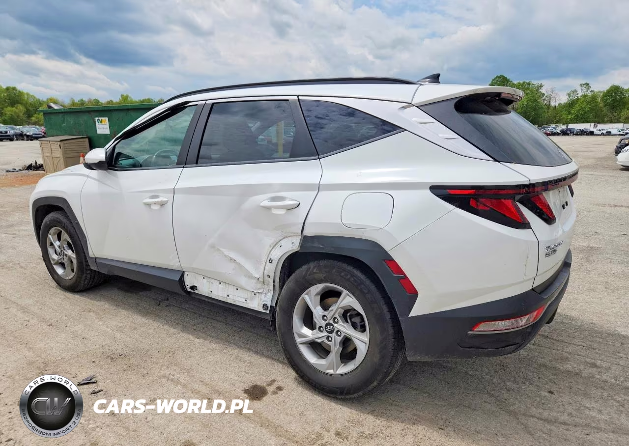 2024 Hyundai Tucson Sel VIN:5NMJBCDE3RH329147 - 2