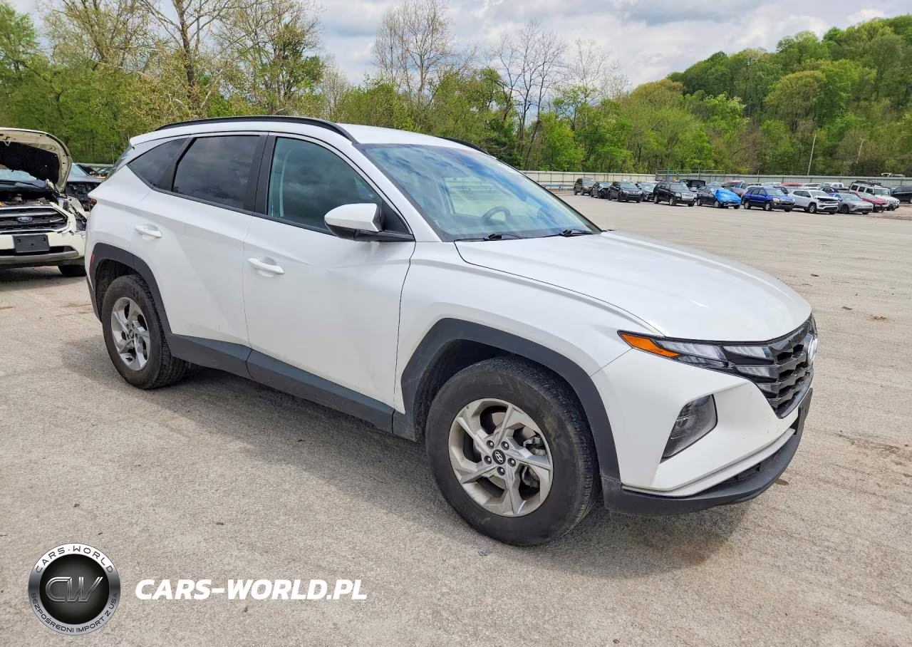 2024 Hyundai Tucson Sel VIN:5NMJBCDE3RH329147 - 4