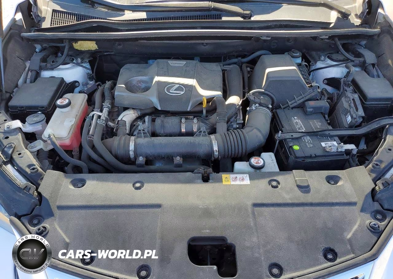 2018 Lexus Nx 300 Base VIN:JTJBARBZXJ2160153 - 11