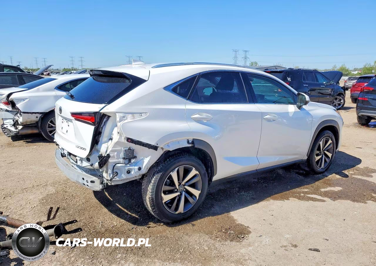 2018 Lexus Nx 300 Base VIN:JTJBARBZXJ2160153 - 3